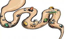 黄煌经方讲座视频